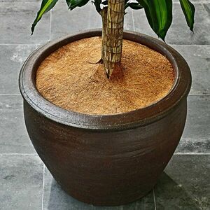 Mata kokosowa do ochrony roślin obraz