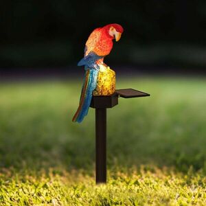 Lampka solarna LED Papuga obraz