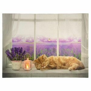 Obraz podświetlany - Fototapeta kot, 1 LED, 30 x 40 cm obraz