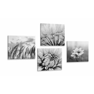 Zestaw obrazów czarno-biała łąka z kwiatami obraz