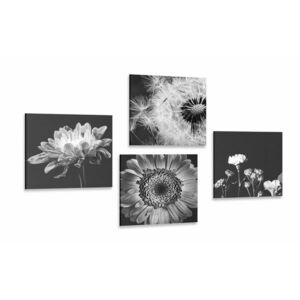 Zestaw obrazów czarno-białe delikatne kwiaty obraz