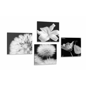 Zestaw obrazów czarno-białe piękno kwiatów z motylem obraz