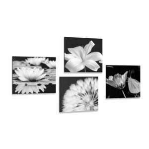 Zestaw obrazów kwiaty z motylem w czerni i bieli obraz