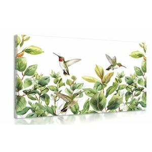 Obraz kolibry i liście obraz