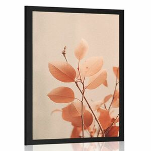 Plakat gałązki liści Peach Fuzz obraz