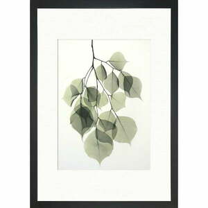 Plakat 24x29 cm Tender Leaves – Tablo Center obraz