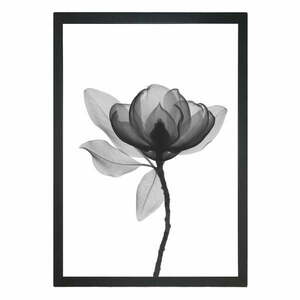 Plakat 24x29 cm Harmony Flower – Tablo Center obraz
