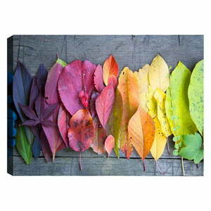 Obraz Tablo Center Autumn Palette, 100x70 cm obraz