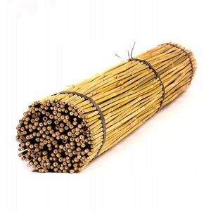 Tyczki bambusowe 120cm 8/10mm 100 sztuk obraz