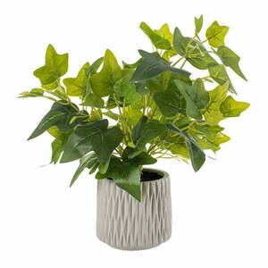 Sztuczna roślina (wysokość 39 cm) Ivy – Ixia obraz