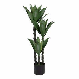Sztuczna roślina (wysokość 120 cm) Agave – Ixia obraz