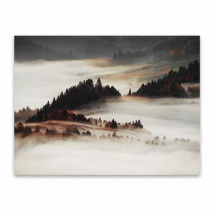 Obraz na płótnie Styler Mist, 85x113 cm obraz