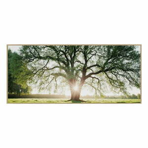 Obraz 150x60 cm Tree in the Sun – knor obraz