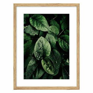 Plakat 30x40 cm Leaves obraz