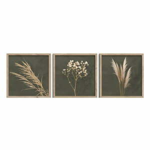 Obrazy zestaw 3 szt. 30x30 cm Pampas – Styler obraz