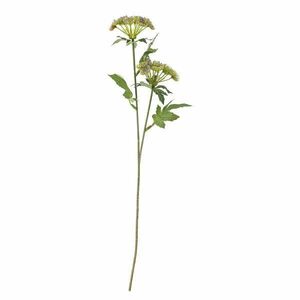 Sztuczna roślina (wysokość 49 cm) Throatwort – Bloomingville obraz