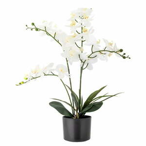 Sztuczny kwiat (wysokość 84 cm) Orchid – Bloomingville obraz