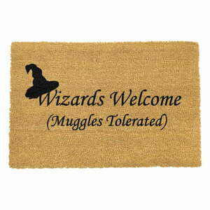 Wycieraczka z naturalnego włókna kokosowego Artsy Doormats Wizards Welcome, 40x60 cm obraz