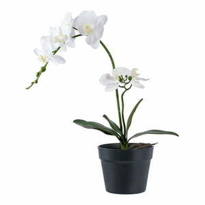 Sztuczny kwiat (wysokość 47 cm) Orchid – House Nordic obraz