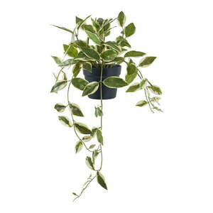 Sztuczna roślina (wysokość 33 cm) Hoya Carnosa – House Nordic obraz