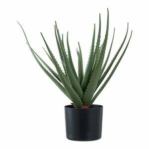 Sztuczna roślina (wysokość 51 cm) Aloe Vera – House Nordic obraz