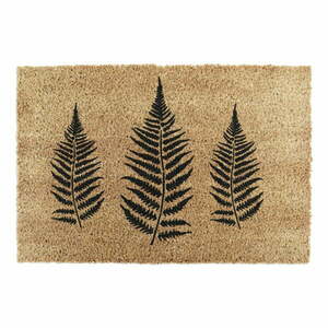 Wycieraczka z włókna kokosowego 40x60 cm Fern Leaf – Artsy Doormats obraz