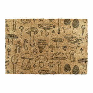 Wycieraczka z włókna kokosowego 40x60 cm Mushrooms – Artsy Doormats obraz