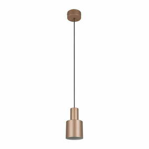 Brązowa lampa wisząca z metalowym kloszem ø 12 cm Agudo – Trio obraz