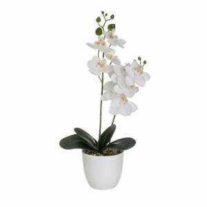 Sztuczny kwiat (wysokość 39 cm) Orchid – Casa Selección obraz