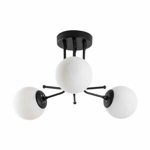 Czarna lampa sufitowa ze szklanym kloszem ø 15 cm Daisy – Opviq lights obraz