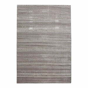 Beżowy dywan 160x230 cm Plus – Ayyildiz Carpets obraz