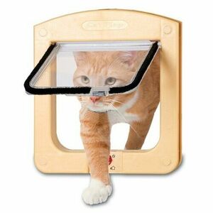 Tommi Cat Flap, beżowy obraz