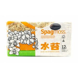 Spagmoss, Sphagnum Besgrow Classic mech torfowy 150 g obraz