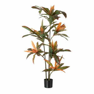 Sztuczna roślina (wysokość 140 cm) Dracena – Ixia obraz