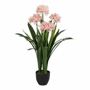 Sztuczny kwiat (wysokość 100 cm) Hyacinth – Ixia obraz