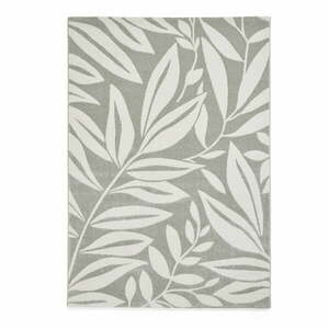 Jasnozielony dywan 80x150 cm Sorral Leaves – Catherine Lansfield obraz