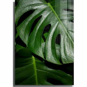 Szklany obraz 50x70 cm Monstera – Wallity obraz