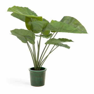 Sztuczna roślina (wysokość 57 cm) Odora – Kave Home obraz
