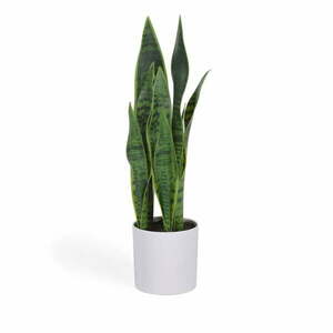 Sztuczna roślina (wysokość 55 cm) Sansevieria – Kave Home obraz