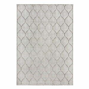 Dywan odpowiedni na zewnątrz w kolorze kości słoniowej 160x230 cm Elm Leaf – Flair Rugs obraz