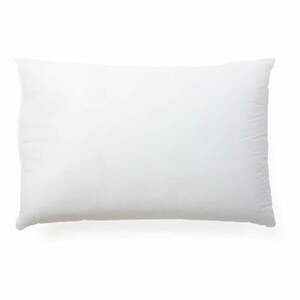 Poduszka 50x80 cm Fluff – Kave Home obraz