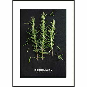 Obraz 50x70 cm Rosemary – Styler obraz