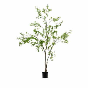 Sztuczna roślina (wysokość 214 cm) Enkianthus – Kave Home obraz