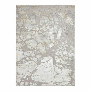 Jasnoszary dywan 200x290 cm Apollo – Think Rugs obraz