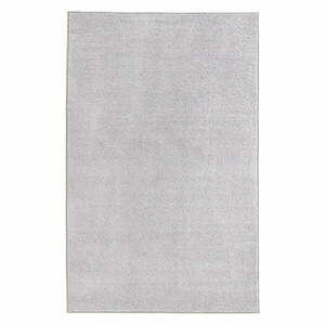 Jasnoszary dywan Hanse Home Pure, 160x240 cm obraz