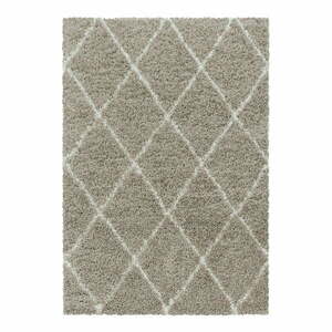 Jasnobrązowy dywan 200x290 cm Alvor – Ayyildiz Carpets obraz