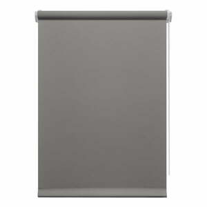 Ciemnoszara roleta 80x150 cm Mini Relax – Gardinia obraz