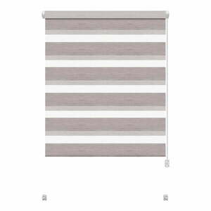 Szarobrązowa roleta dzień i noc 42, 5x150 cm Zebra Silvalin – Gardinia obraz