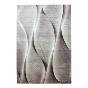 Brązowy dywan 140x200 cm Parma – Ayyildiz Carpets obraz