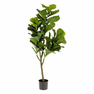 Sztuczny fikus (wysokość 150 cm) Lyrata – Kave Home obraz